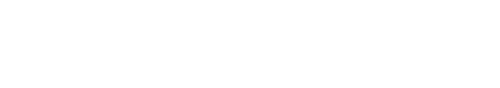 logo weiss